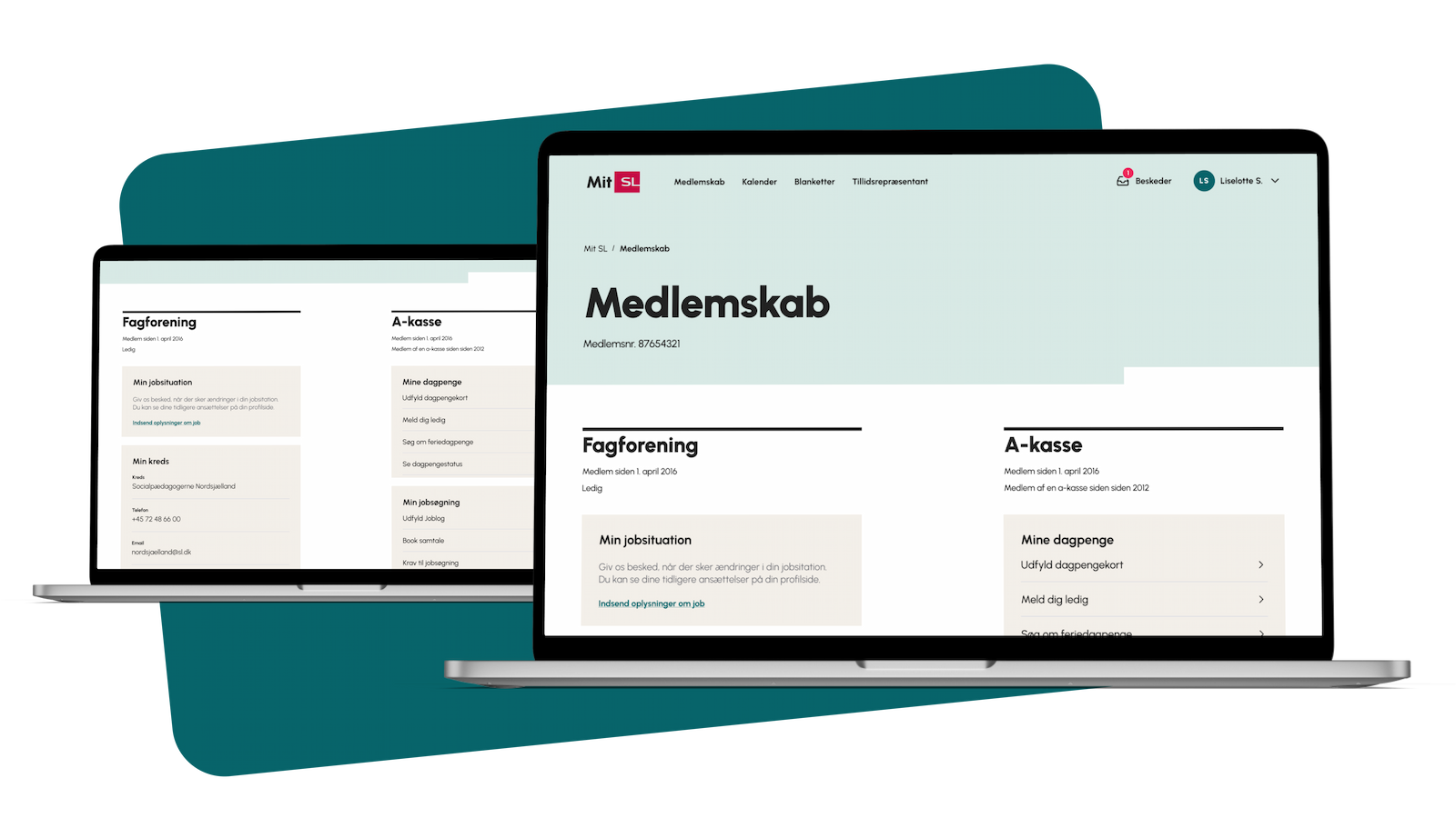 Socialpædagogerne website